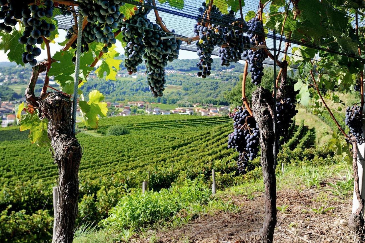 Conca Bella Boutique Hotel & Wine Experience Vacallo Eksteriør bilde
