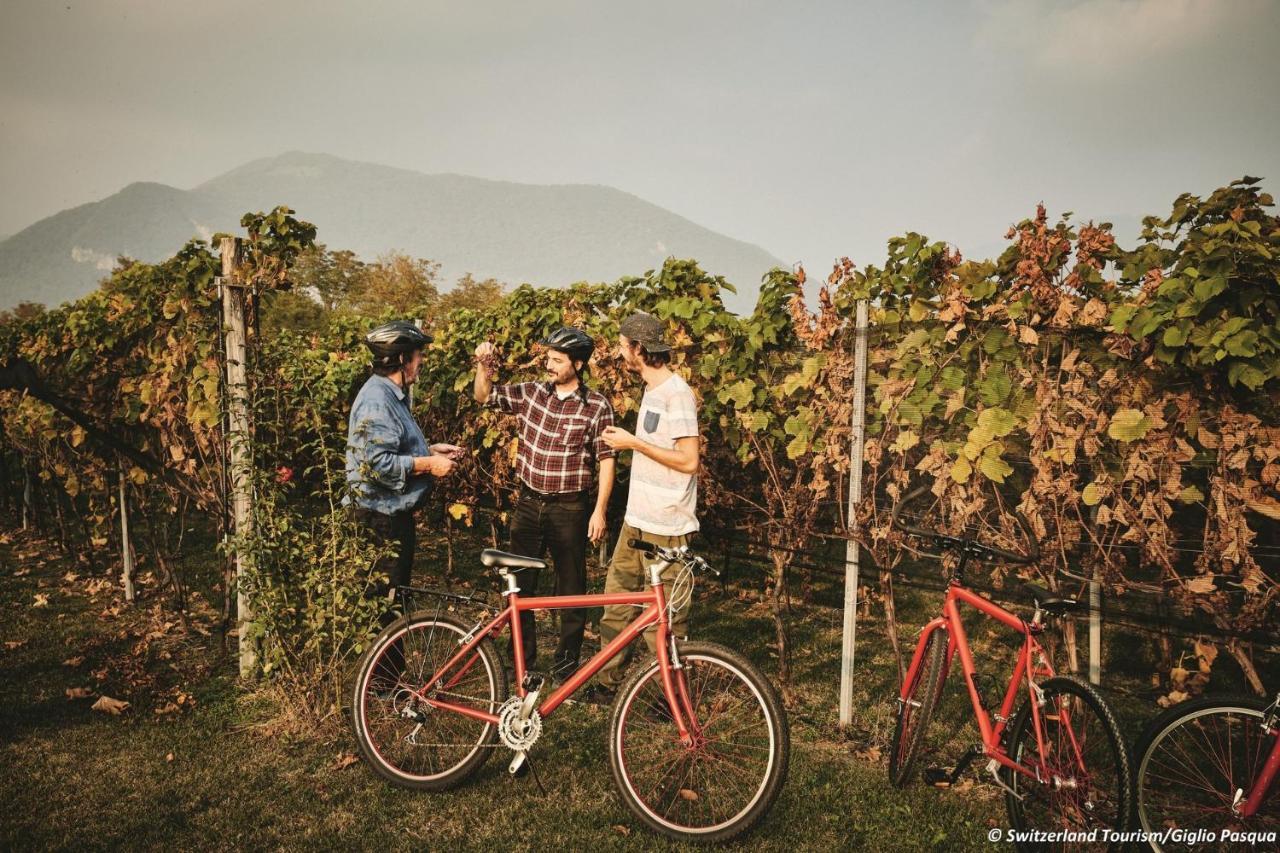 Conca Bella Boutique Hotel & Wine Experience Vacallo Eksteriør bilde